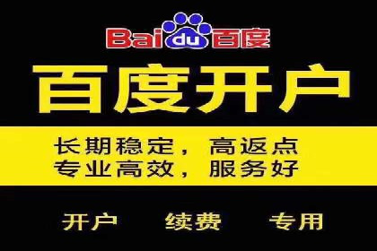 竞价广告赚钱：百度平台案例分析